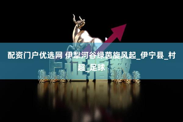 配资门户优选网 伊犁河谷绿茵旋风起_伊宁县_村超_足球