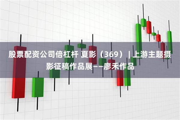 股票配资公司倍杠杆 夏影（369） | 上游主题摄影征稿作品展——廖禾作品