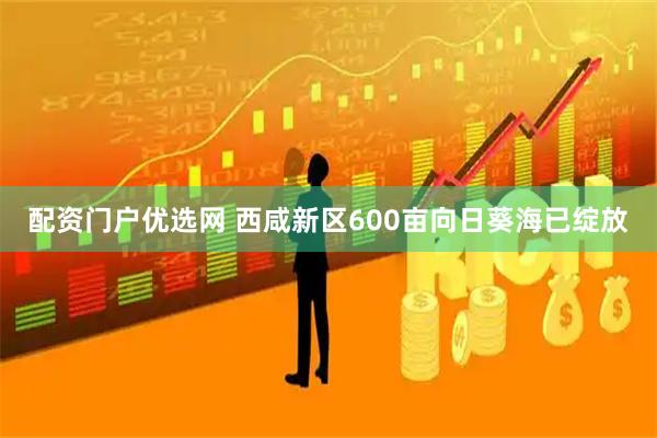 配资门户优选网 西咸新区600亩向日葵海已绽放
